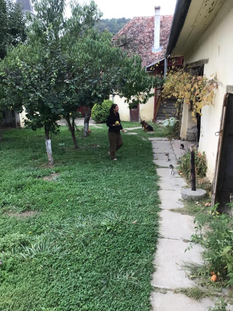Casa Arthur Richis Richisu Εξωτερικό φωτογραφία