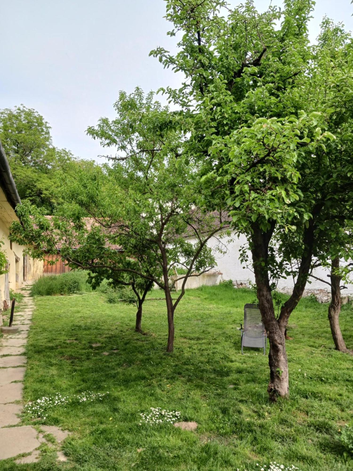 Casa Arthur Richis Richisu Εξωτερικό φωτογραφία
